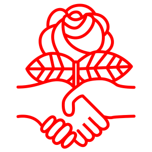 DSA Logo Decal